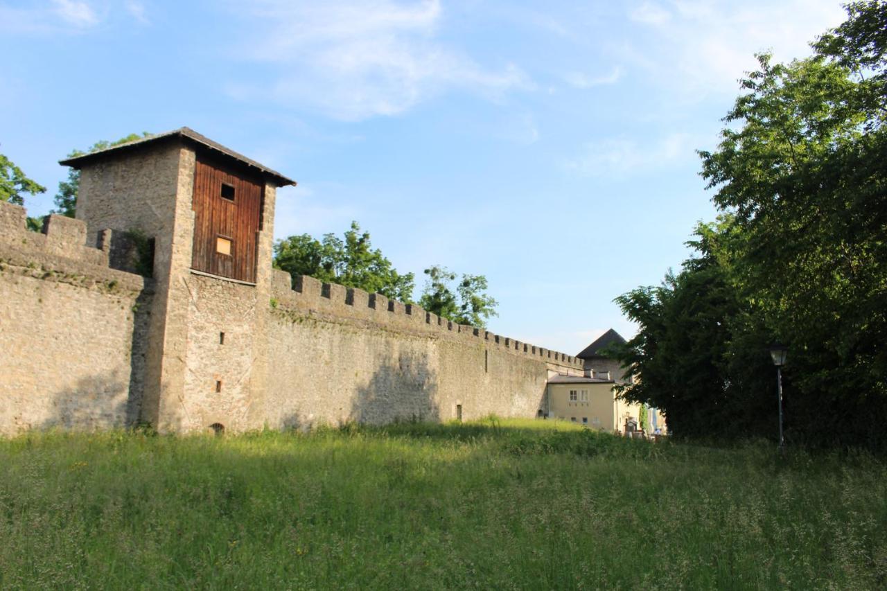 Stadtalm Naturfreundehaus Σάλτσμπουργκ Εξωτερικό φωτογραφία